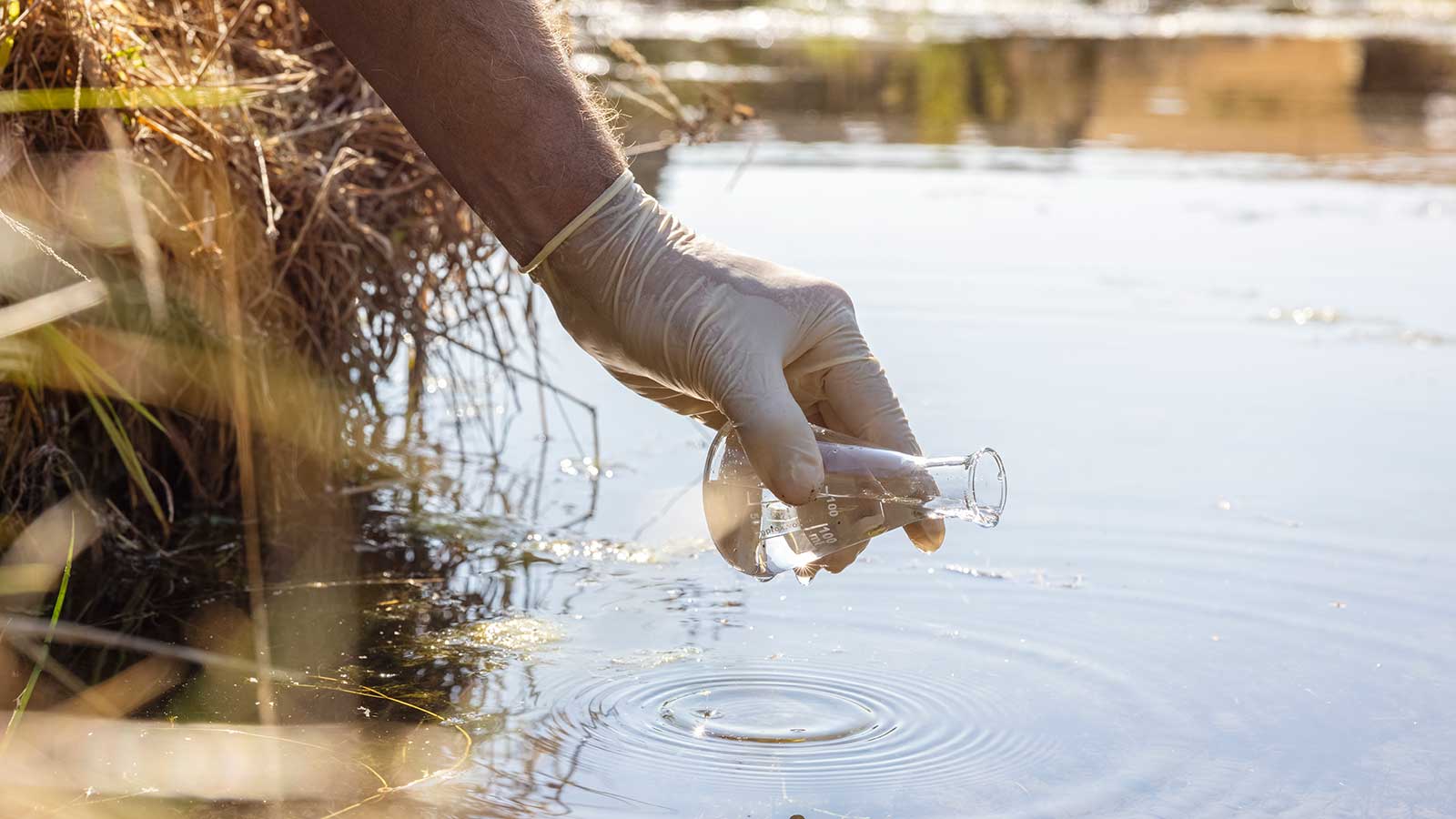 Environmental Science and Sustainability Major