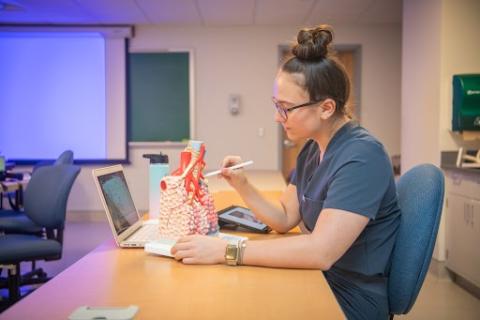 A student studies a replica of a human heart.