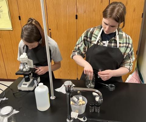 Harrisville Central School senior Nadia Atkinson and sophomore Maia Bernhard use lab equipment.